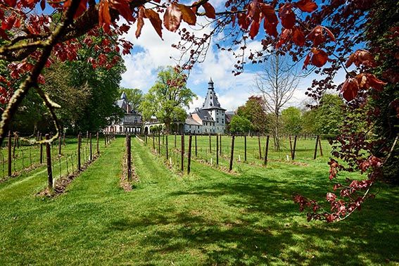Château de Bioul en automne Château de Bioul en automne
