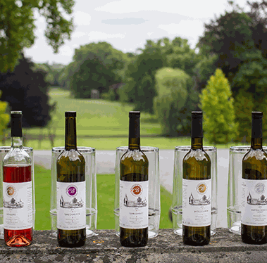 Château de Bioul vins et crémants belges